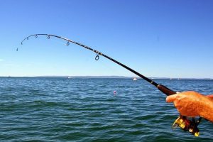 Fishing Pole For Rent